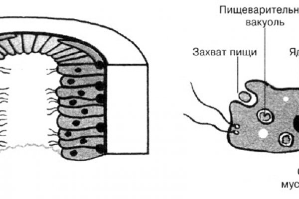 Omg omg ссылка браузер